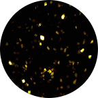 Pinky Chai - Google Review