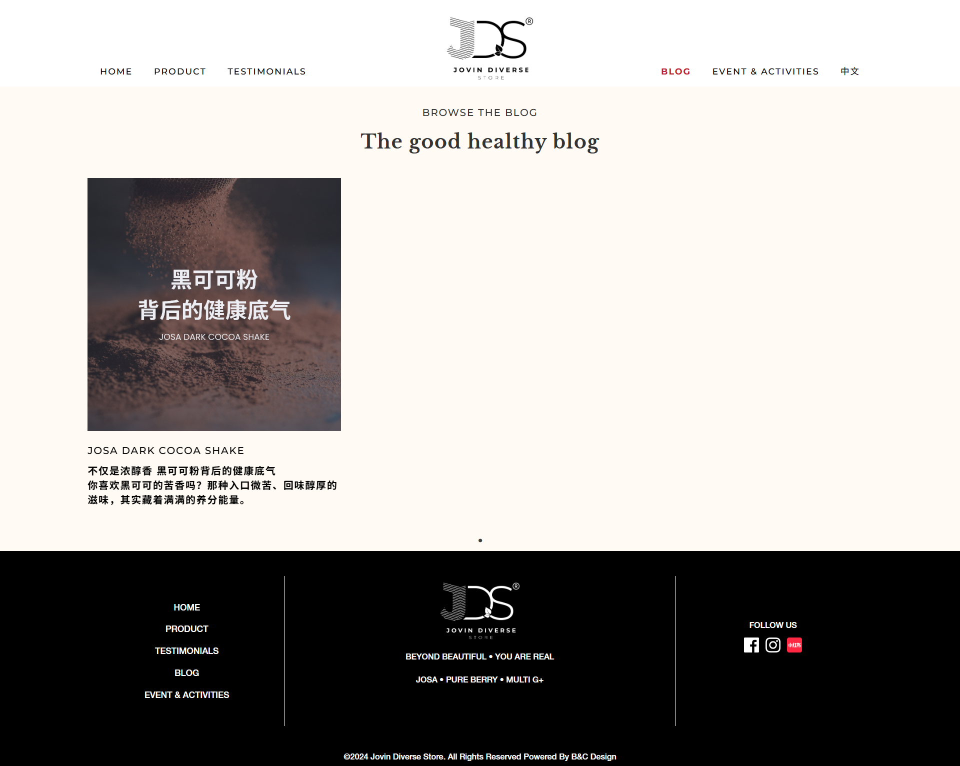 Jovin Diverse Store | Website Design